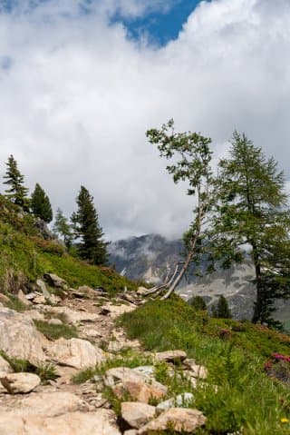 Lac Blanc Chamonix - La montee