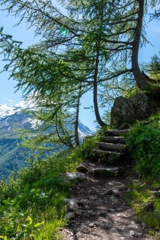 Lac Blanc Chamonix - La montee