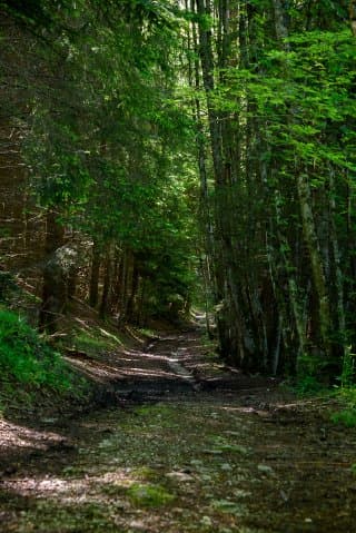 La montagne Sous-Dîne
