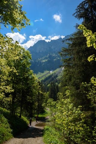 La montagne Sous-Dîne