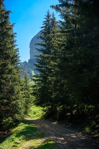 La montagne Sous-Dîne
