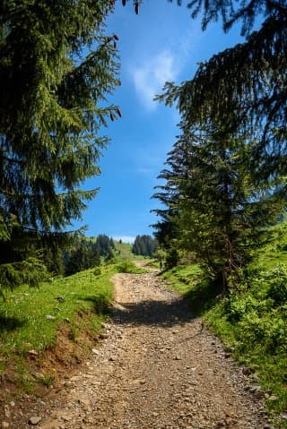 La montagne Sous-Dîne