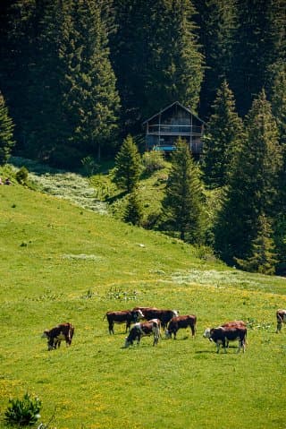 La montagne Sous-Dîne