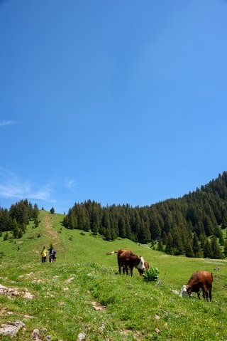 La montagne Sous-Dîne