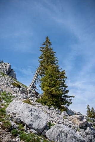 La montagne Sous-Dîne