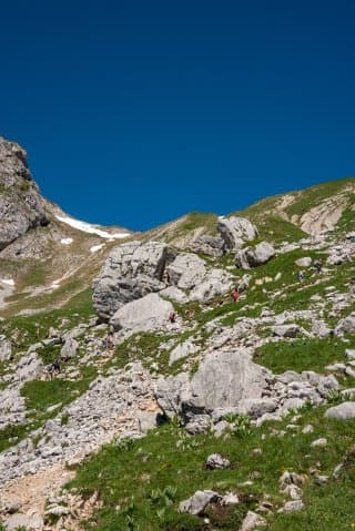 Lac de Peyre