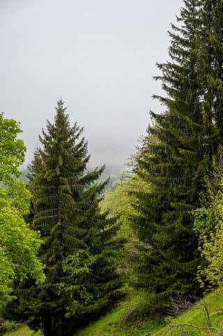 Bivouac Chalet de Vormy