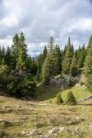 Sur le chemin du bivouac