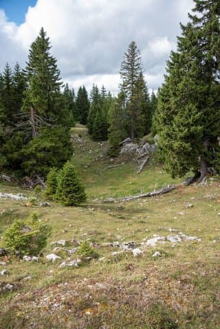 Sur le chemin du bivouac