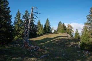 Autour du bivouac