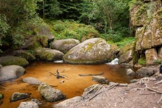 Huelgoat - La mare aux sangliers