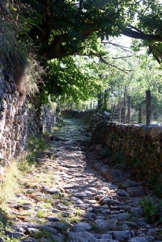 Le sentier des druides