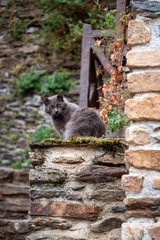 Aveyron - Belcastel